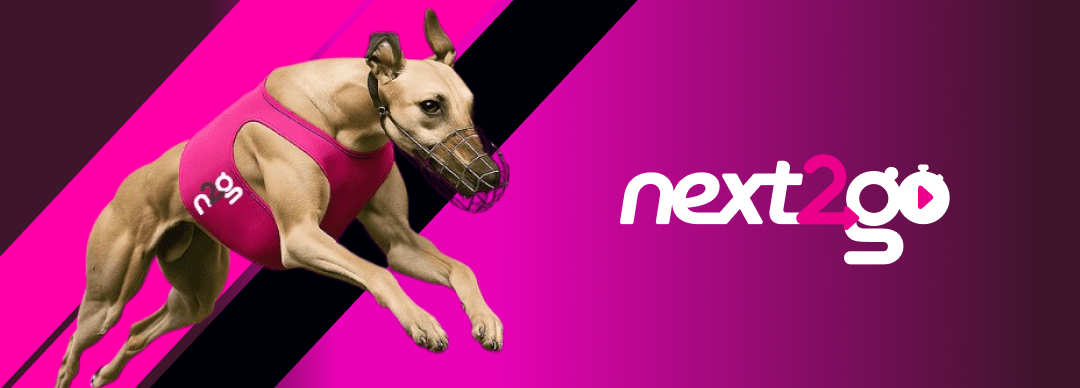 Next2Go Betting Platform